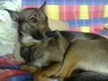 Foto di Zara